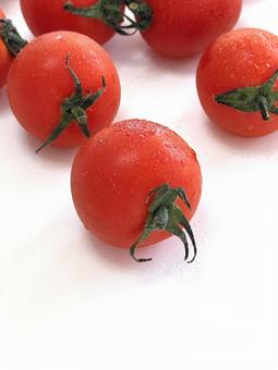 新鮮な日本のプチトマト水滴白バック 鮮やか,新鮮,赤の写真素材