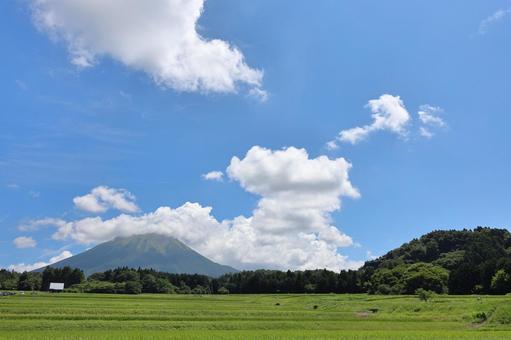 夏の大山と田園風景　４の写真