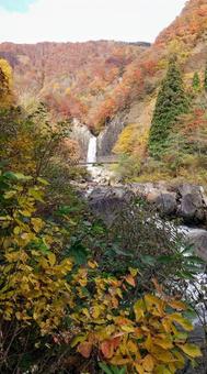 Naena Falls, JPG