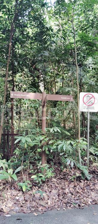 森林の道標と猿の警告 シンガポール,自然,森林の写真素材