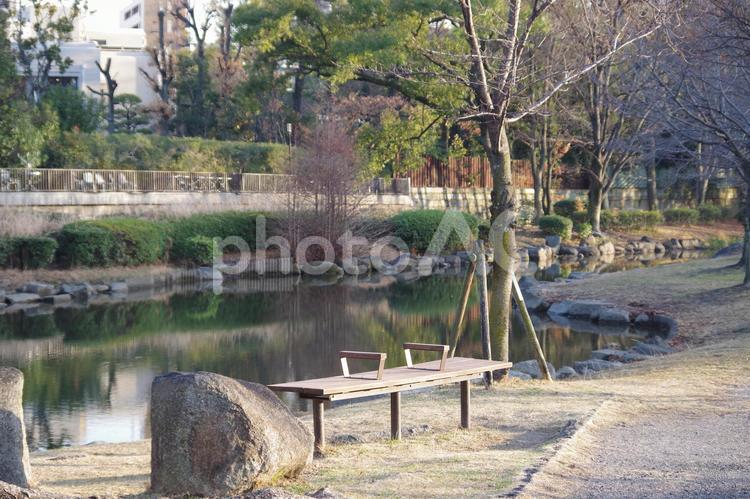 冬の夕日に照らされるベンチ ベンチ,冬,夕日の写真素材