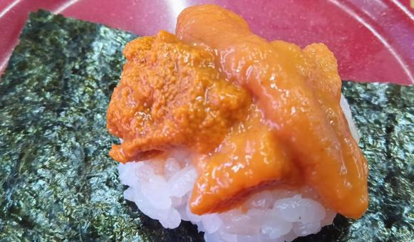 寿司 ウニ 寿司 ウニ の写真
