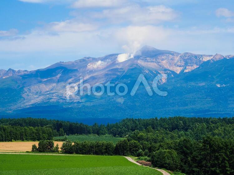 富良野の風景 富良野,北海道,自然の写真素材