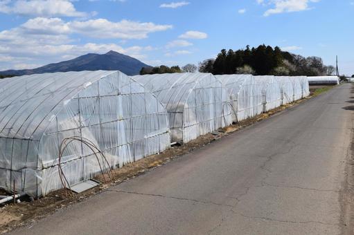 農業用ビニールハウス 茨城県 農業用ビニールハウス 茨城県 農業ビニールハウス,農業ハウス,ビニールハウスの写真素材