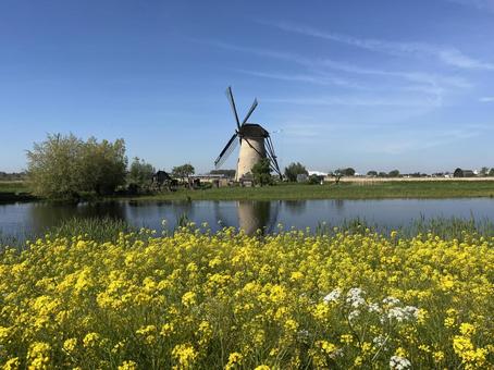 キンデルダイク＝エルスハウトの風車網 キンデルダイク,風車,オランダの写真素材