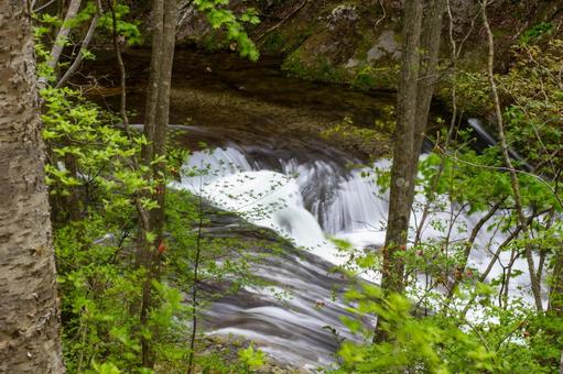 Photo, spring, young leaves, sleet waterfall, 