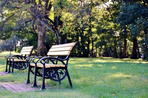 都立小金井公園のベンチの写真