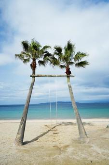福岡 糸島 ヤシの木ブランコ1 ヤシの木ブランコ,椰子,ヤシの写真素材