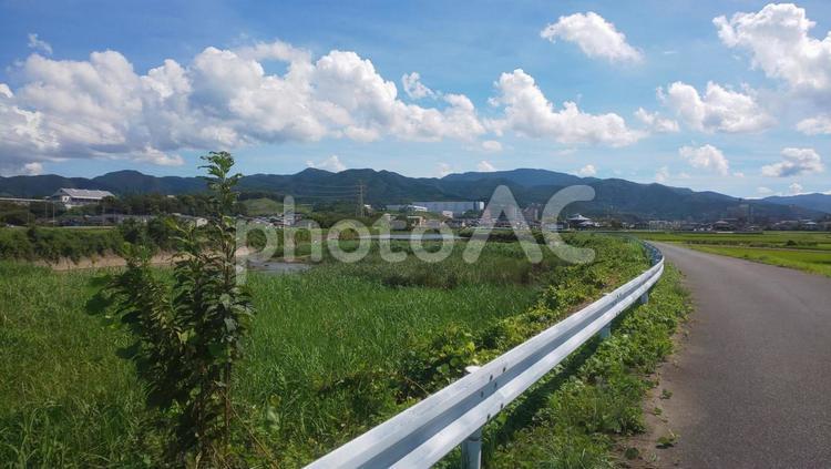 川沿いの道・篠栗町 道,川沿い,川の写真素材