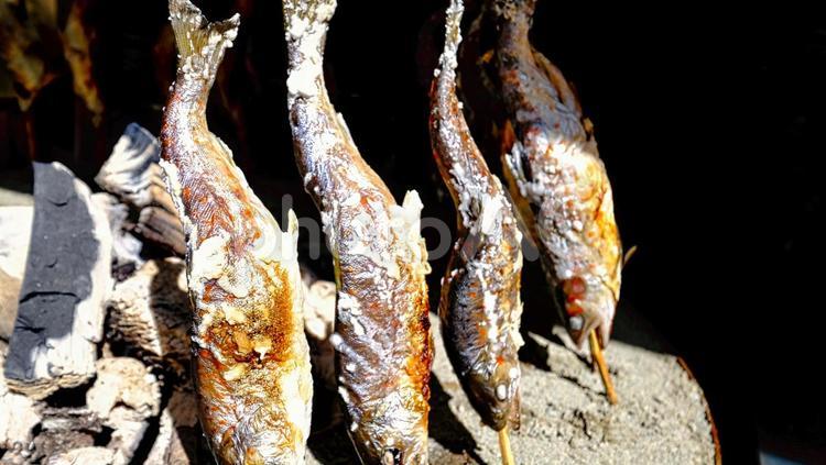 囲炉裏で焼くあゆ 囲炉裏,あゆの塩焼き,しおの写真素材
