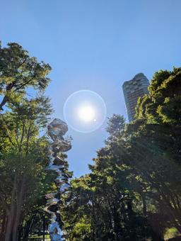 緑の隙間から見える太陽の写真