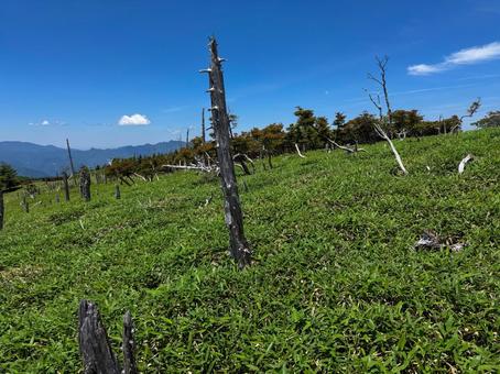 大台ヶ原正木ヶ原 大台ヶ原正木ヶ原の写真