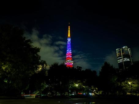 夜空に輝く東京タワー 東京タワー,夜景,ライトアップの写真素材