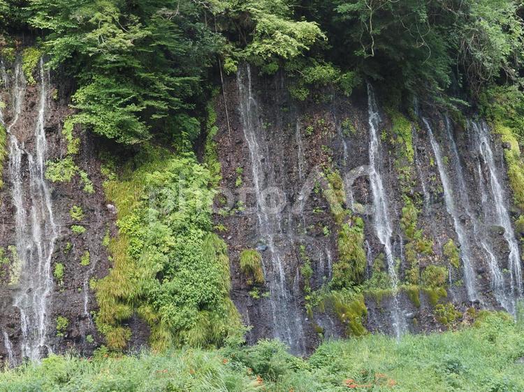 白糸の滝  自然,滝,水の写真素材