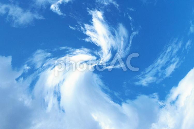 初秋のそよ風 大空,舞う,あおぞらの写真素材