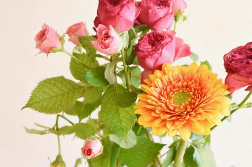 Roses and Gerberas, JPG Roses and Gerberas, JPG