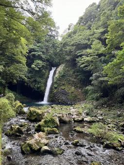 伊豆半島ジオパーク 浄蓮の滝 伊豆半島ジオパーク 浄蓮の滝 伊豆,天城,浄蓮の滝の写真素材