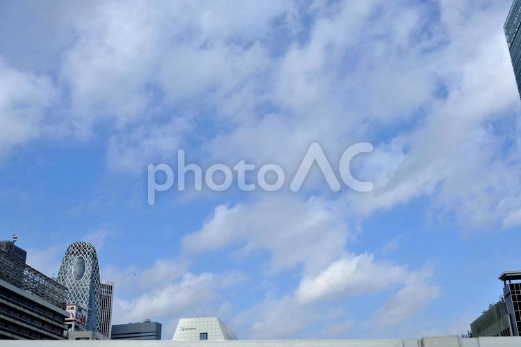 新宿の風景 新宿,都会,高層ビルの写真素材