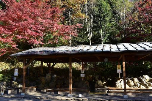 秋を感じられる足湯で癒しの時間 秋を感じられる足湯で癒しの時間 紅葉,足湯,秋の写真素材