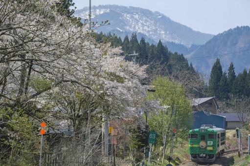 只見線の観光列車「風っこ」 只見線,観光列車,トロッコ列車の写真素材