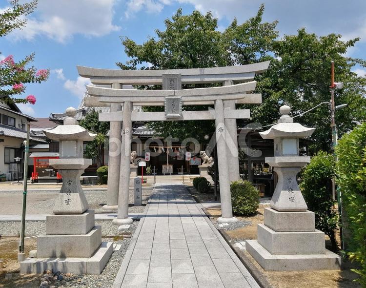 市軸稲荷神社　鳥居 市軸稲荷神社,鳥居,神社の写真素材