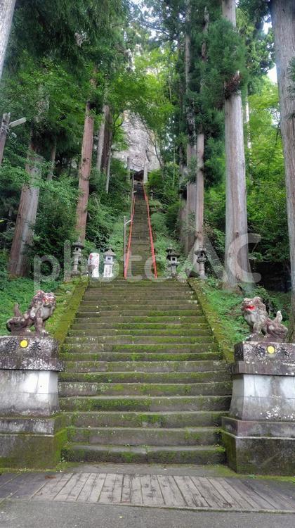 中之嶽神社の参道階段 群馬県,中之嶽神社,神社の写真素材