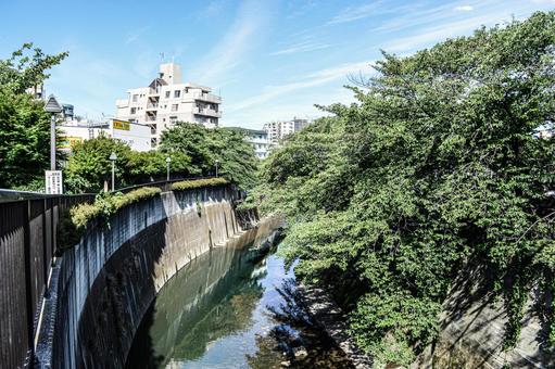 石神井川 石神井川の写真