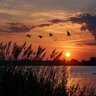 雲が彩る湖畔の夕暮れ 雲が彩る湖畔の夕暮れの写真