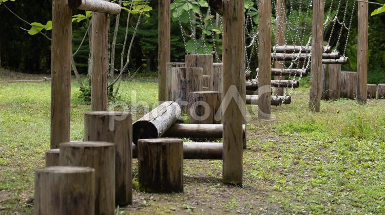 公園の中にある丸太を渡る遊具 自然,風景,木の写真素材