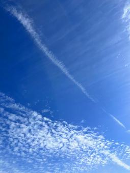 飛行機雲と鱗雲 飛行機雲と鱗雲 飛行機雲,鱗雲,空の写真素材