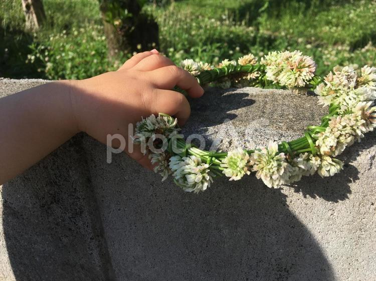 花冠を持つ子供の手 花冠,花,手の写真素材