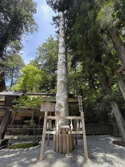 Photo, suwa big society, boss, haruhi palace, 