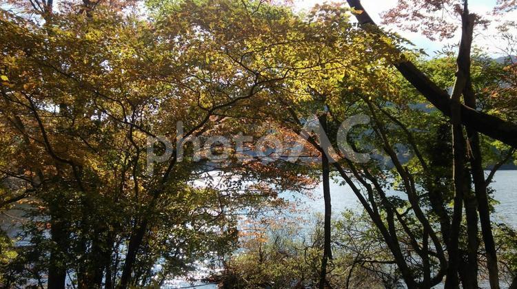 芦ノ湖の風景 神奈川県,箱根,芦ノ湖の写真素材