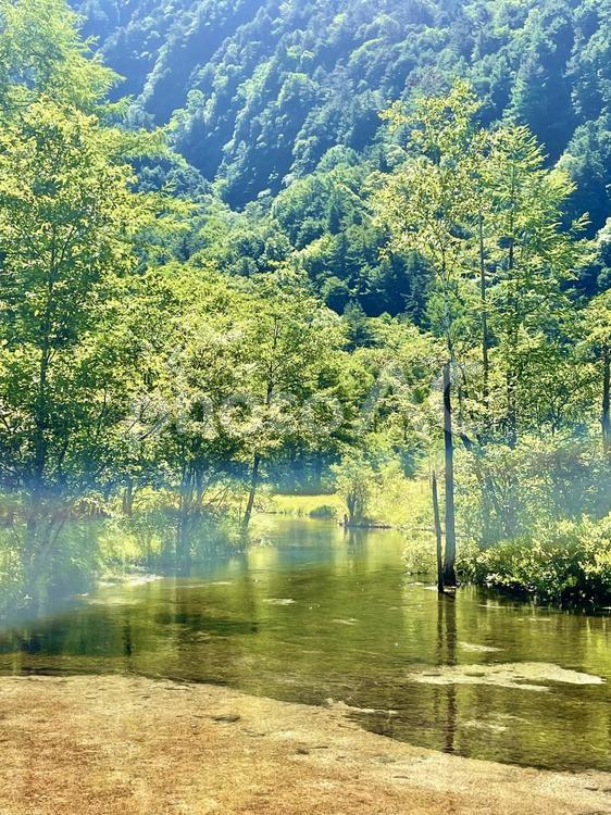 神秘的な水の流れと夏の森林 上高地,明神池,神秘的の写真素材