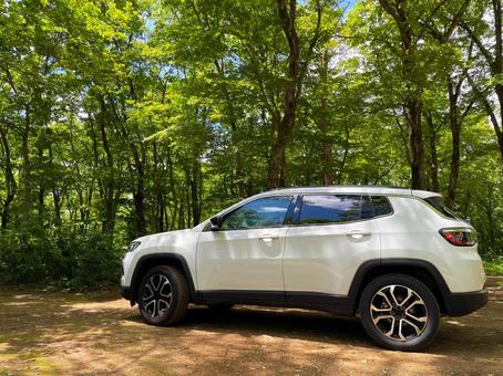 車と森林 suv,森林,アウトドアの写真素材