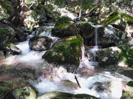 山の沢 沢,川,谷川の写真素材