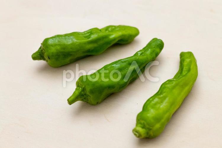 ししとう 野菜,夏野菜,ベジタブルの写真素材