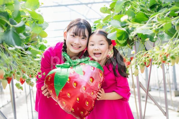 いちごの風船を持つ子供たち いちご,風船,いちご狩りの写真素材