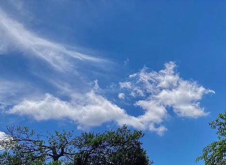 Photo, like a dragon, cloud, blue sky, 