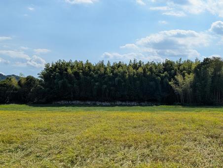 田園風景の写真