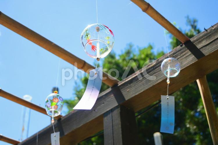 風鈴と葉　夏の情景09　由志園 風鈴,夏,ガラスの写真素材
