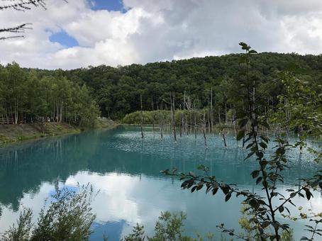 青い池 青い池の写真