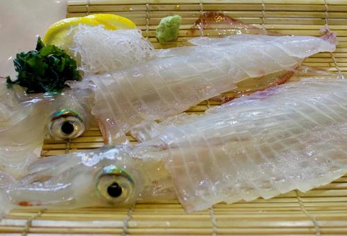 佐賀呼子のイカ活き造り 佐賀呼子のイカ活き造り イカ,姿造り,活き造りの写真素材