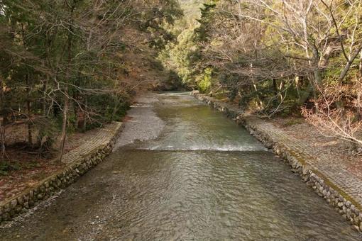 静かな川の流れ 静かな川の流れの写真