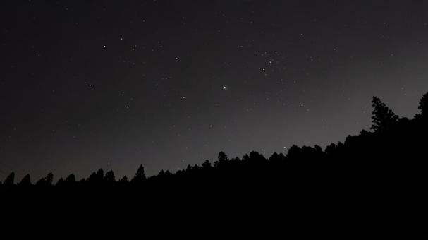 静寂の森に浮かぶ星 静寂の森に浮かぶ星の写真