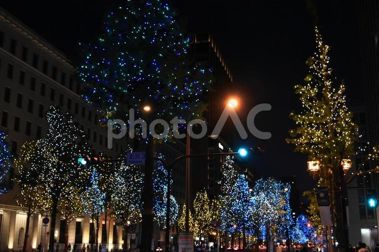 2023御堂筋イルミネーション 御堂筋,イルミネーション,夜景の写真素材