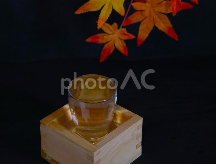 紅葉と日本酒①（満杯） 酒,紅葉,枡の写真素材