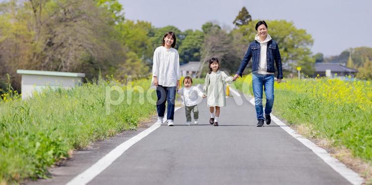 菜の花畑のある土手を歩く家族 人物,男性,女性の写真素材