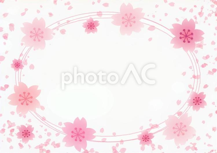 桜のフレーム 桜,さくら,フレームの写真素材