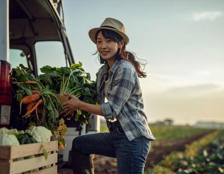 収穫した野菜をトラックに積む農家の女性 収穫した野菜をトラックに積む農家の女性の写真